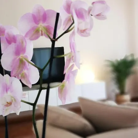 Lägenhet So Fine - Apulian Flats *