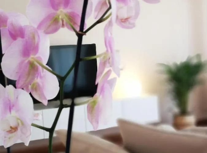 Appartement So Fine - Apulian Flats *