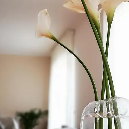 So Fine - Apulian Flats Apartman