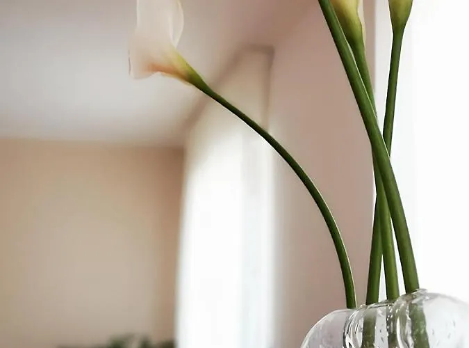 So Fine - Apulian Flats アパート